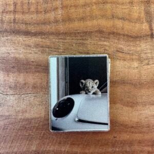 شعار بورش ونمر